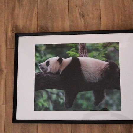 A 4 min du Zoo de Beauval La Maison à Partager Ch2 1er étage Saint-Aignan  Extérieur photo