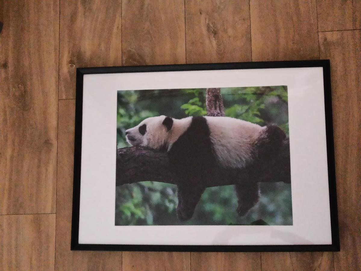 A 4 min du Zoo de Beauval La Maison à Partager Ch2 1er étage Saint-Aignan  Extérieur photo