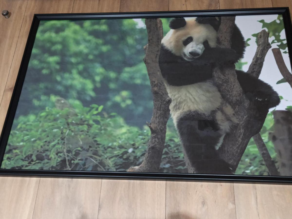 A 4 min du Zoo de Beauval La Maison à Partager Ch2 1er étage Saint-Aignan  Extérieur photo
